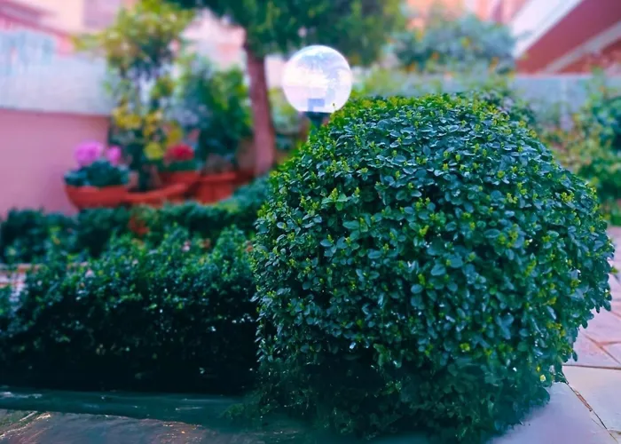 Castle&dome Apartament