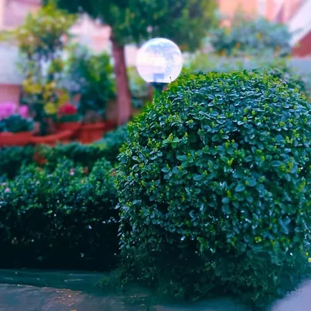 Castle&dome Lejlighed